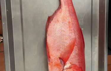 LAS OLAS ATICO PENHOUSE with TERRACE and SEA VIEW, 2 bedrooms - Foto 58