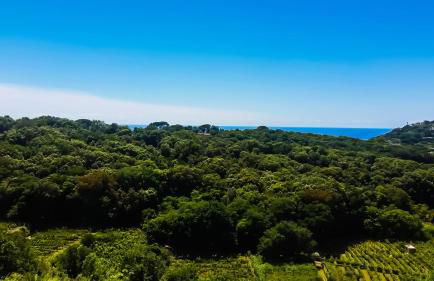 Appartamenti Luongo - Foto 59