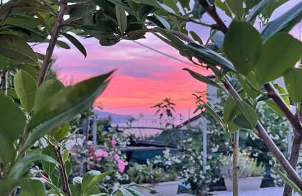 The Dream - Photo 20