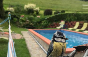 Apartamenty Kadłubek - Foto 23