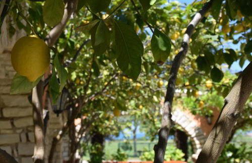 Apartmani Ritoša - Photo 4