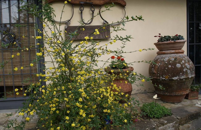 Agriturismo Poggiopiano - Photo 49