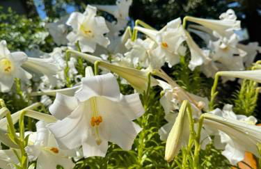 Casa Parra - Foto 10