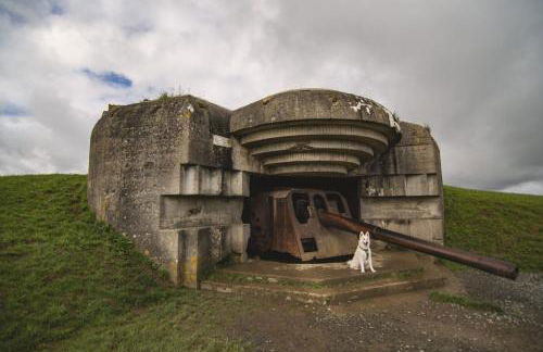 GITE A THEME D-DAY - situé à 15mn d'Omaha Beach - Animaux OK - Terrain clos - Aucuns voisins - WIFI - Foto 9