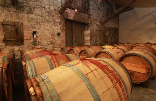 Château de Mayragues - Photo 21