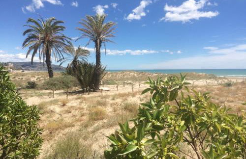 Las Minvas Playa - Photo 27