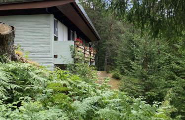 Ca'Mugo, a chalet in the magic woods, near Cortina - Foto 67