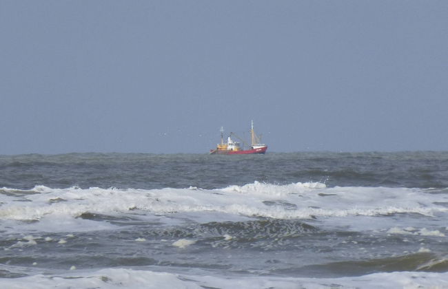 Island Retreat for Families - Photo 38