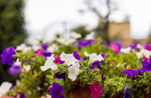 Villa Carmen - Foto 25