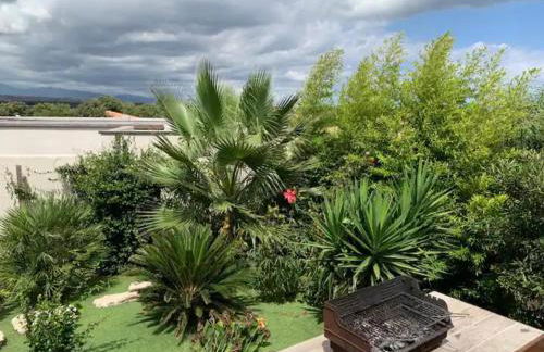 MONTE LEONE - Foto 21