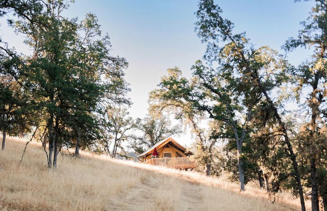 Huttopia Wine Country - Foto 1