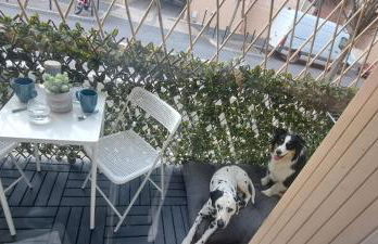 Charmant studio à Castres - Photo 10