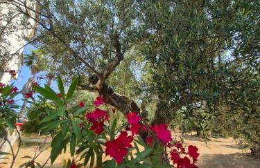 Tritsili house - Photo 3