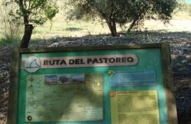 Casa Rural Cortijo Pesquera - Foto 41