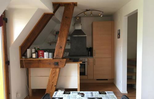 gîtes au domaine Greiner - Foto 29