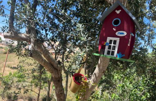 Refúgio dos Sapinhos - Photo 20