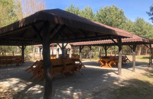 Dolina Bobrów - Foto 12