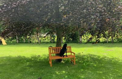 Ferienhof Ostarle - Foto 67