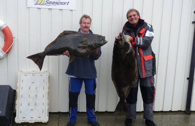 Arctic Seasport - Foto 51