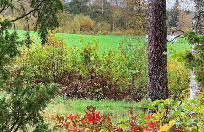 4 Person Holiday Home in Holsljunga-by Traum - Photo 23