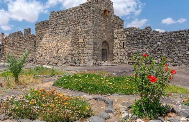 Escursione di mezza giornata ai Castelli del Deserto - Foto 1