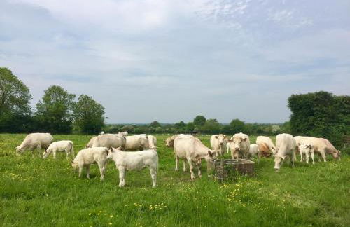 Ferme de Riou - Foto 48