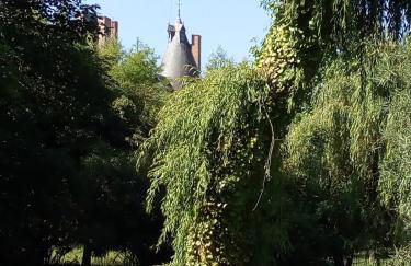 gite au jardin de grand-père - Photo 21