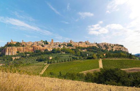 Pet Friendly Apartment In Portaria - Foto 30