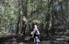 Ale house experience - Foto 23