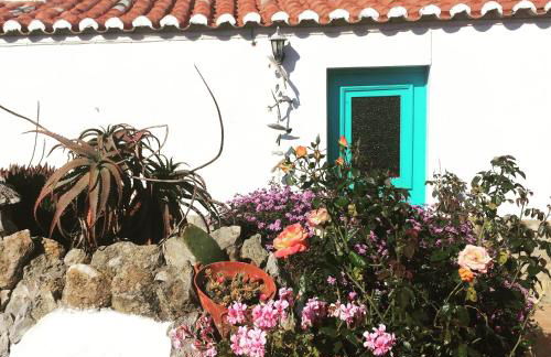 Casinhas da Figueira - Foto 50