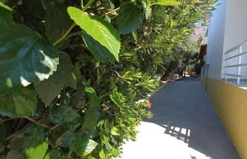 Leros Eleonas ApartmentS - Foto 10