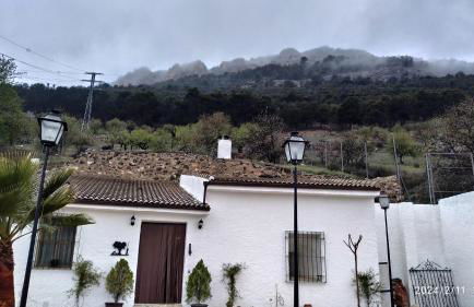 CASA CUEVA EL OLIVO - Foto 9