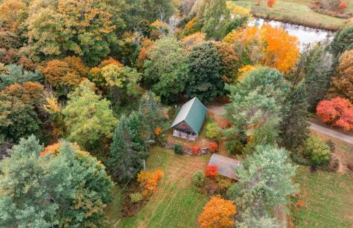 Enchanted Forest Cabin - Foto 3