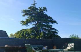 Mont Gîte Des Herbus Obione dans la Baie du Mont Saint Michel, petit village calme - Foto 7