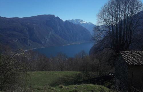 La corte del pane - Foto 69