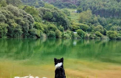 PequeñoCabárceno - Foto 63