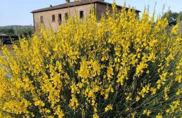 Il Casone - villa con piscina - Foto 32