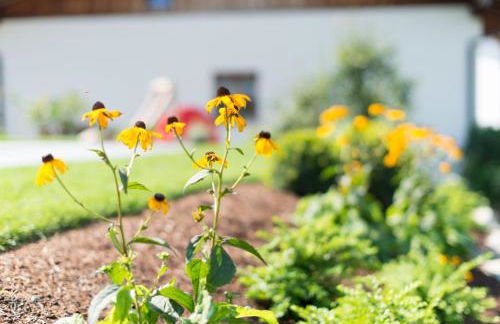 Moar am Ort - Foto 56