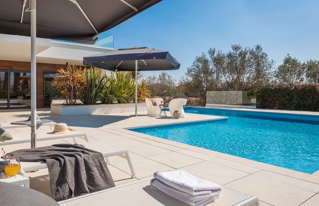 Old Olive I - Foto 43