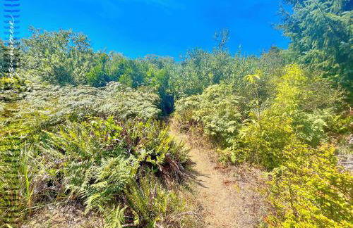 Tide Pool Cabin, a Soquinomere Private Hotel on the Dunes, Downtown Ocean Shores - Foto 40