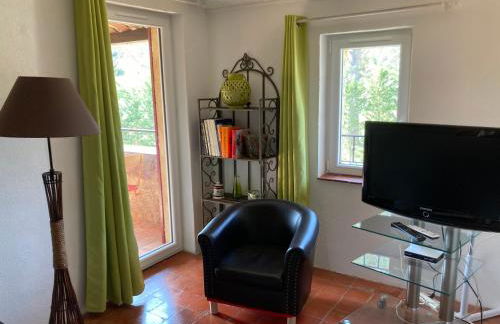 La bastide de Mauragne - Gîte les Iris - Photo 19