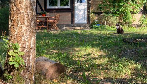 Letnia Oficyna - Foto 2