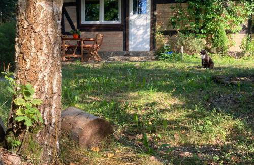 Letnia Oficyna - Foto 2