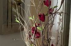 Incantevole Mugello - Foto 75