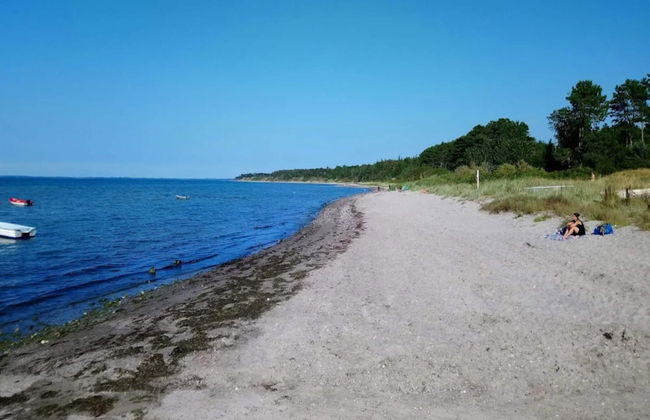 Secluded Cottage Retreat at Ordrup Naes-by Traum - Foto 40