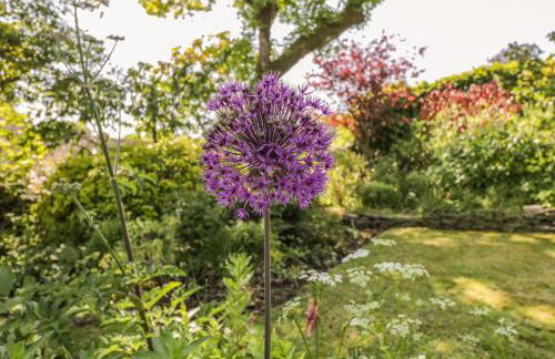 Fox Den Cottage - Foto 49