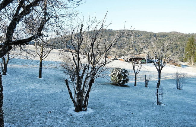 Apartment in Sallneck Near Nonnenmattweiher Lake - Foto 31