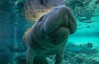 227-WIFI, New Paint, AMAZING Views, Close to BUCS stadium - Foto 29