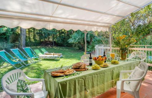 I Tre Olivi - Foto 6