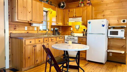 Log Cabin Walkable to Lake Lure & Chimney Rock - Blue Skies - Foto 3